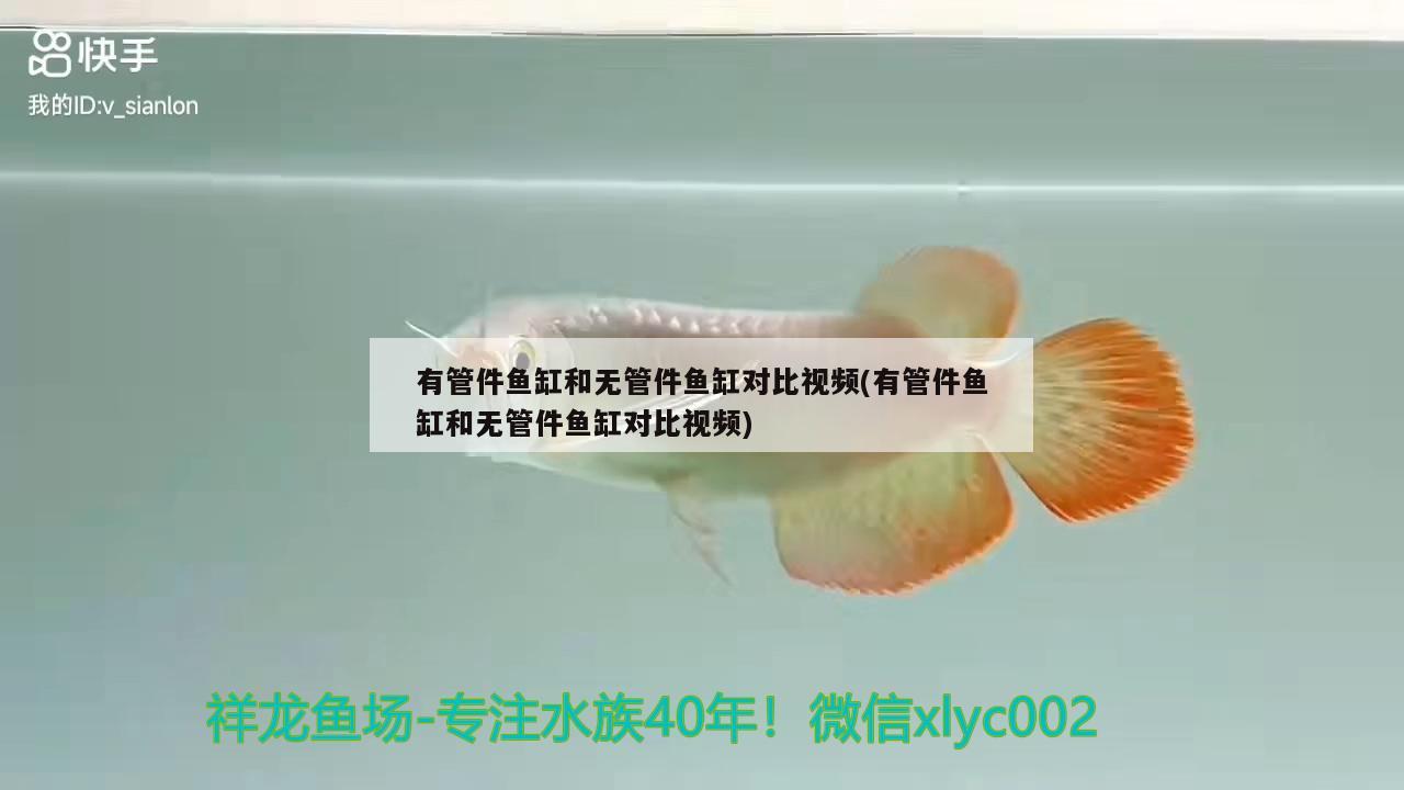 有管件鱼缸和无管件鱼缸对比视频(有管件鱼缸和无管件鱼缸对比视频)