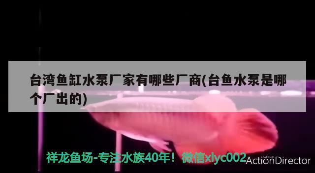 台湾鱼缸水泵厂家有哪些厂商(台鱼水泵是哪个厂出的) 鱼缸水泵