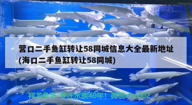 营口二手鱼缸转让58同城信息大全最新地址(海口二手鱼缸转让58同城)