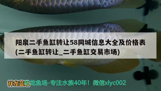 阳泉二手鱼缸转让58同城信息大全及价格表(二手鱼缸转让_二手鱼缸交易市场)