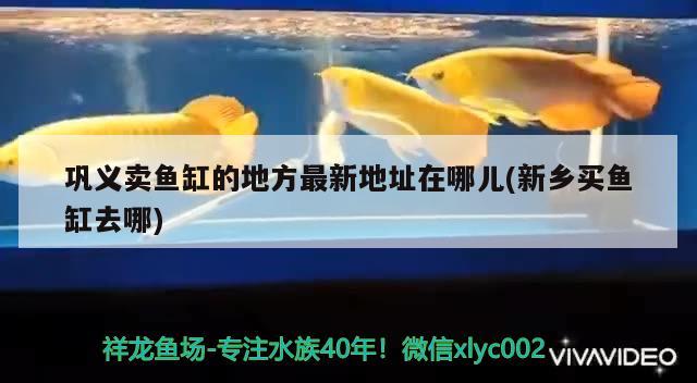 巩义卖鱼缸的地方最新地址在哪儿(新乡买鱼缸去哪) 祥龙水族护理水