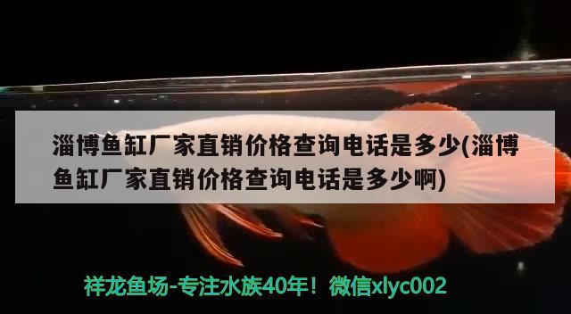 淄博鱼缸厂家直销价格查询电话是多少(淄博鱼缸厂家直销价格查询电话是多少啊)