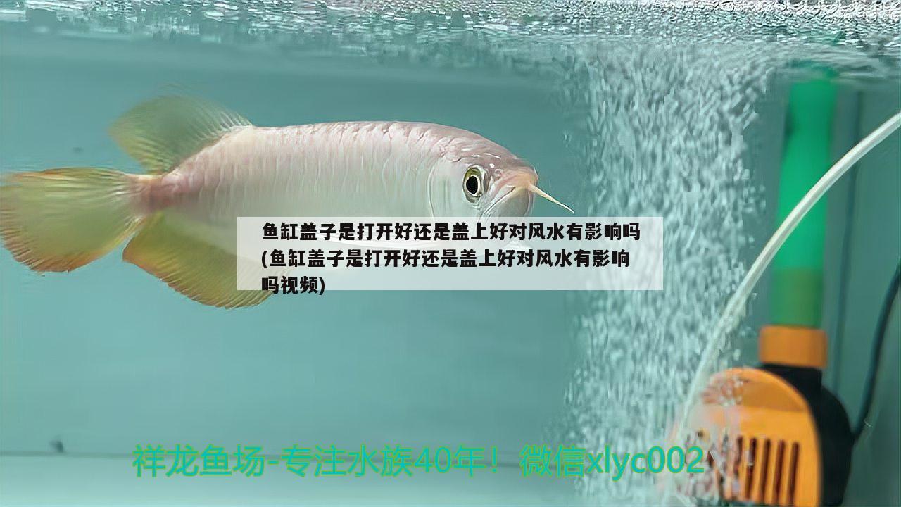 鱼缸盖子是打开好还是盖上好对风水有影响吗(鱼缸盖子是打开好还是盖上好对风水有影响吗视频) 鱼缸风水 第2张