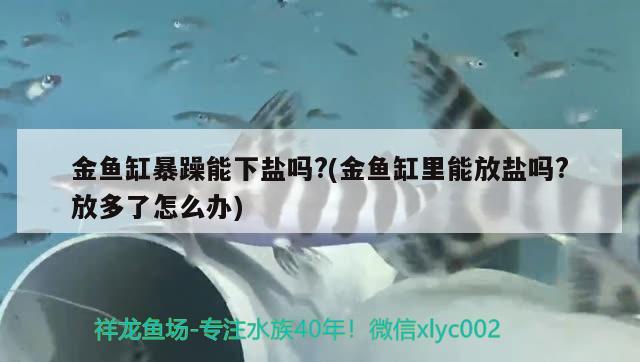 金鱼缸暴躁能下盐吗?(金鱼缸里能放盐吗?放多了怎么办) 潜水泵