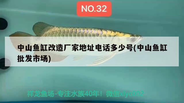 中山鱼缸改造厂家地址电话多少号(中山鱼缸批发市场) 白化火箭