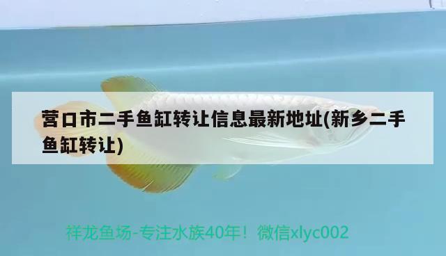 营口市二手鱼缸转让信息最新地址(新乡二手鱼缸转让) 黄金达摩鱼