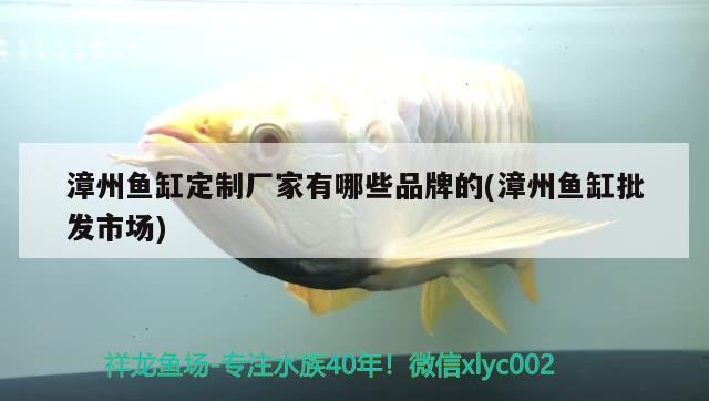 漳州鱼缸定制厂家有哪些品牌的(漳州鱼缸批发市场) 锦鲤池鱼池建设