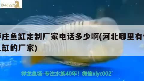 枣庄鱼缸定制厂家电话多少啊(河北哪里有做鱼缸的厂家) 水族维护服务（上门）