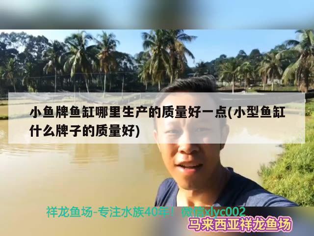 小鱼牌鱼缸哪里生产的质量好一点(小型鱼缸什么牌子的质量好) 罗汉鱼批发