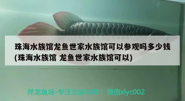 珠海水族馆龙鱼世家水族馆可以参观吗多少钱(珠海水族馆龙鱼世家水族馆可以)