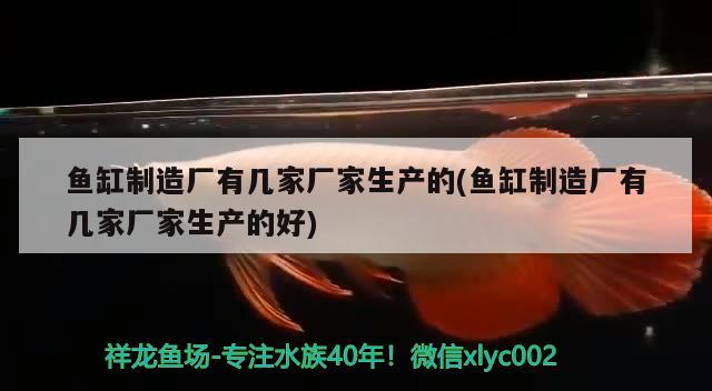 鱼缸制造厂有几家厂家生产的(鱼缸制造厂有几家厂家生产的好) 鱼缸水质稳定剂