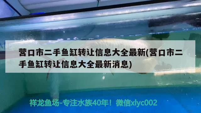 营口市二手鱼缸转让信息大全最新(营口市二手鱼缸转让信息大全最新消息)