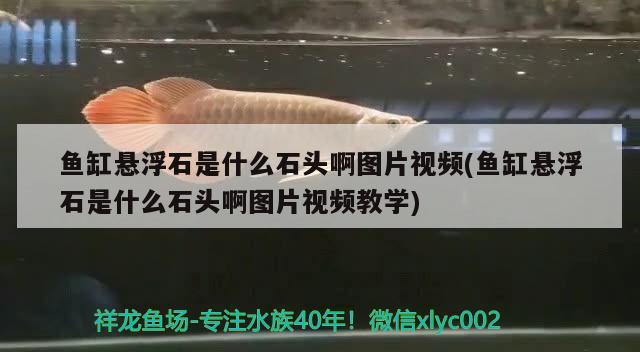 鱼缸悬浮石是什么石头啊图片视频(鱼缸悬浮石是什么石头啊图片视频教学)