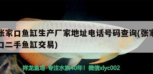 张家口鱼缸生产厂家地址电话号码查询(张家口二手鱼缸交易) 泰庞海鲢鱼