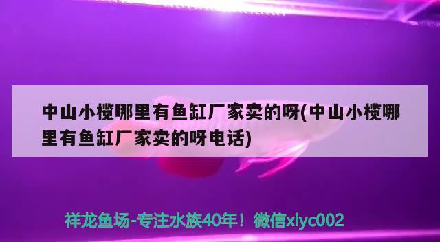 中山小榄哪里有鱼缸厂家卖的呀(中山小榄哪里有鱼缸厂家卖的呀电话)