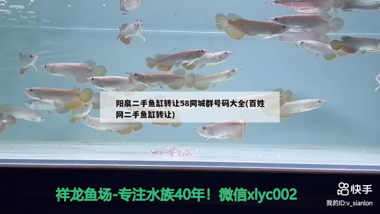 阳泉二手鱼缸转让58同城群号码大全(百姓网二手鱼缸转让)