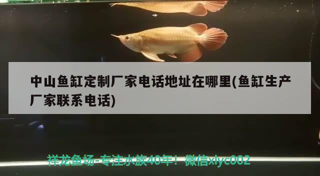 中山鱼缸定制厂家电话地址在哪里(鱼缸生产厂家联系电话) 养鱼的好处