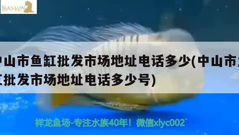 中山市鱼缸批发市场地址电话多少(中山市鱼缸批发市场地址电话多少号) 魟鱼