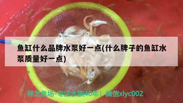 鱼缸什么品牌水泵好一点(什么牌子的鱼缸水泵质量好一点) 鱼缸水泵