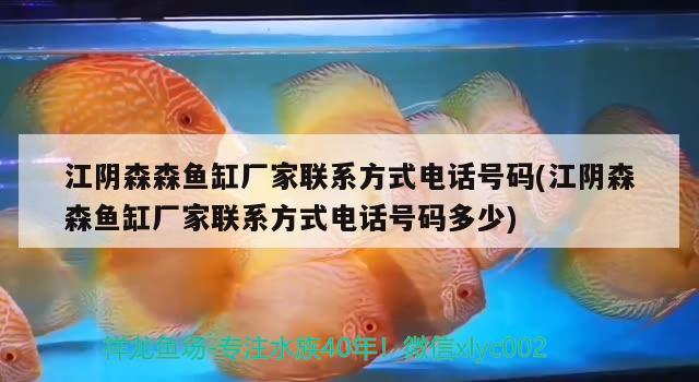 江阴森森鱼缸厂家联系方式电话号码(江阴森森鱼缸厂家联系方式电话号码多少) 女王大帆鱼