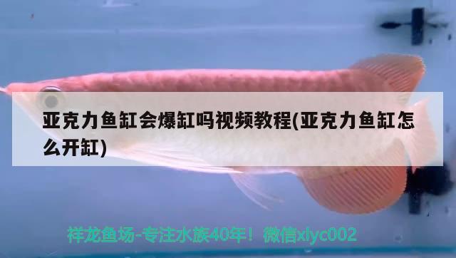 亚克力鱼缸会爆缸吗视频教程(亚克力鱼缸怎么开缸) 鱼缸/水族箱