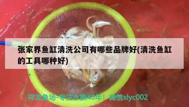 张家界鱼缸清洗公司有哪些品牌好(清洗鱼缸的工具哪种好)