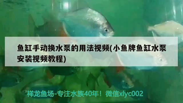 鱼缸手动换水泵的用法视频(小鱼牌鱼缸水泵安装视频教程) 鱼缸水泵