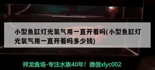 小型鱼缸灯光氧气用一直开着吗(小型鱼缸灯光氧气用一直开着吗多少钱)