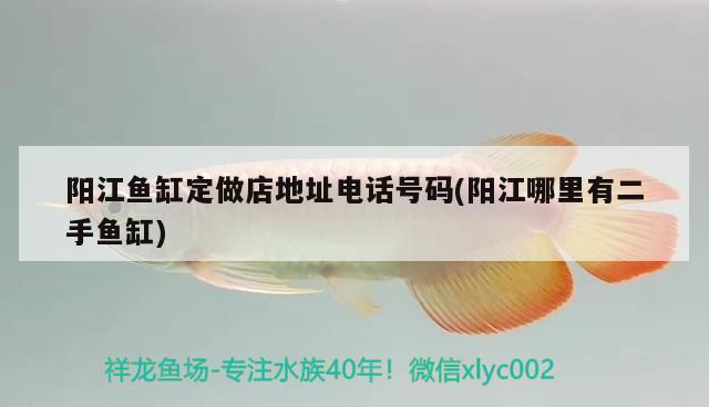 阳江鱼缸定做店地址电话号码(阳江哪里有二手鱼缸) 绿皮皇冠豹鱼