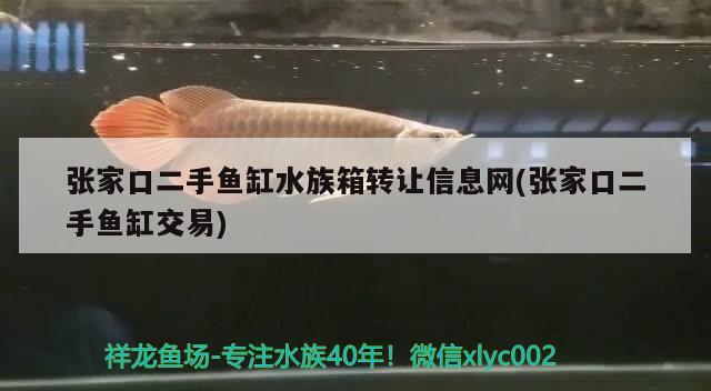 张家口二手鱼缸水族箱转让信息网(张家口二手鱼缸交易) 鱼缸/水族箱