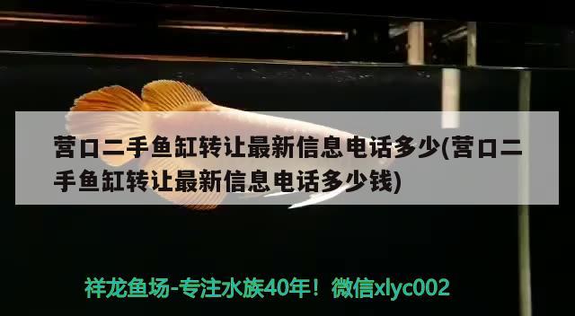 营口二手鱼缸转让最新信息电话多少(营口二手鱼缸转让最新信息电话多少钱)