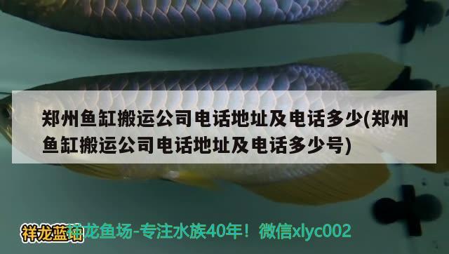 郑州鱼缸搬运公司电话地址及电话多少(郑州鱼缸搬运公司电话地址及电话多少号)