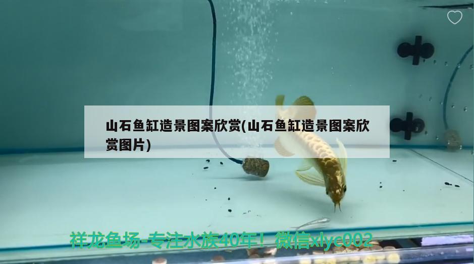 山石鱼缸造景图案欣赏(山石鱼缸造景图案欣赏图片) 水族品牌