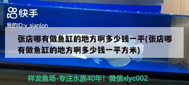 张店哪有做鱼缸的地方啊多少钱一平(张店哪有做鱼缸的地方啊多少钱一平方米)