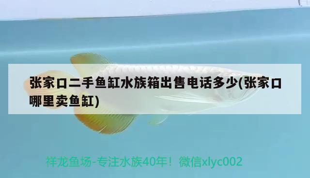 张家口二手鱼缸水族箱出售电话多少(张家口哪里卖鱼缸) 鱼缸/水族箱