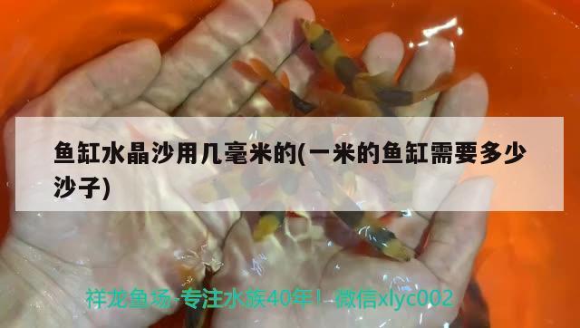 鱼缸水晶沙用几毫米的(一米的鱼缸需要多少沙子) 祥龙超血红龙鱼