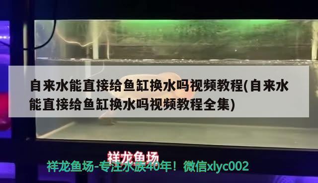 自来水能直接给鱼缸换水吗视频教程(自来水能直接给鱼缸换水吗视频教程全集) 鱼缸水泵