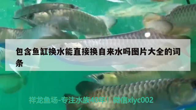 包含鱼缸换水能直接换自来水吗图片大全的词条