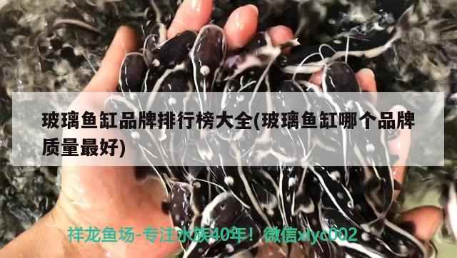 玻璃鱼缸品牌排行榜大全(玻璃鱼缸哪个品牌质量最好)