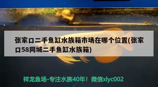 张家口二手鱼缸水族箱市场在哪个位置(张家口58同城二手鱼缸水族箱) 鱼缸/水族箱