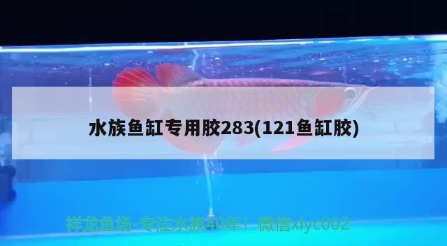 水族鱼缸专用胶283(121鱼缸胶)