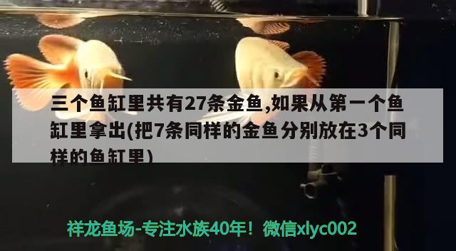 三个鱼缸里共有27条金鱼,如果从第一个鱼缸里拿出(把7条同样的金鱼分别放在3个同样的鱼缸里) 南美异型鱼