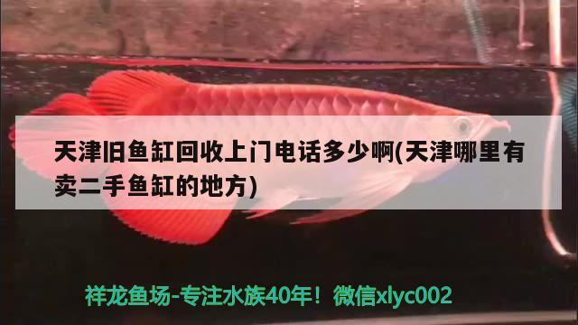 天津旧鱼缸回收上门电话多少啊(天津哪里有卖二手鱼缸的地方) 粗线银版鱼