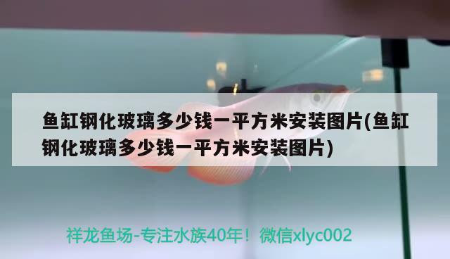 鱼缸钢化玻璃多少钱一平方米安装图片(鱼缸钢化玻璃多少钱一平方米安装图片) 白化火箭