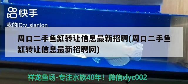 周口二手鱼缸转让信息最新招聘(周口二手鱼缸转让信息最新招聘网)