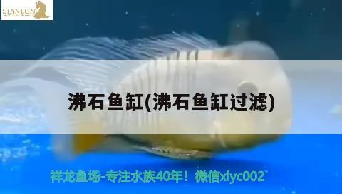 沸石鱼缸(沸石鱼缸过滤)