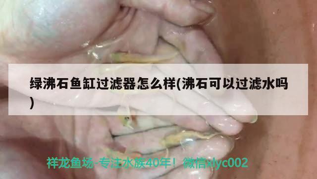 绿沸石鱼缸过滤器怎么样(沸石可以过滤水吗) 森森鱼缸