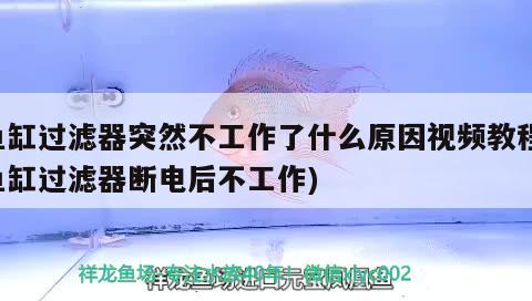 鱼缸过滤器突然不工作了什么原因视频教程(鱼缸过滤器断电后不工作) 水族维护服务（上门）