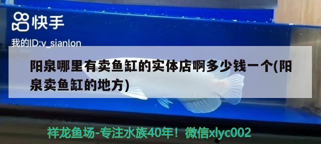 阳泉哪里有卖鱼缸的实体店啊多少钱一个(阳泉卖鱼缸的地方) 观赏鱼百科