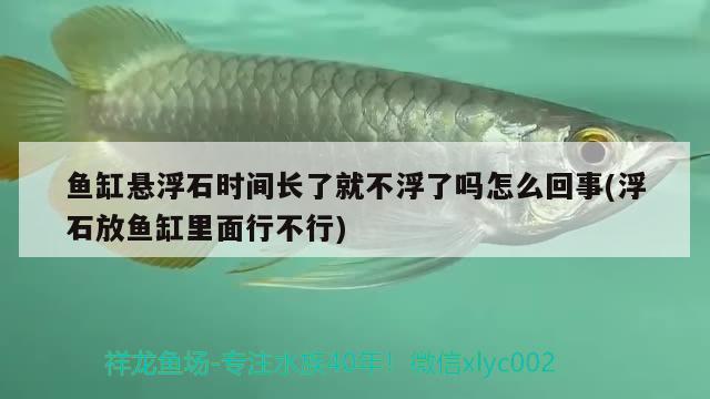 鱼缸悬浮石时间长了就不浮了吗怎么回事(浮石放鱼缸里面行不行) 龙鱼批发